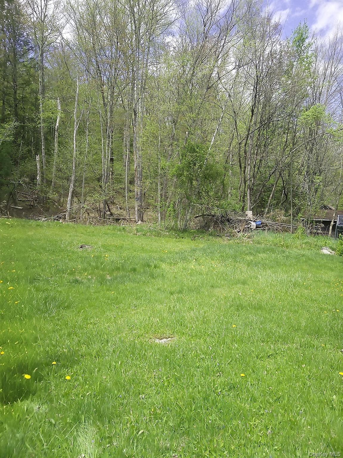 Single Family Main Street Sullivan County, NY 12779, MLS-000029-11