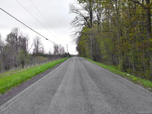 Single Family Spook Woods Rd  Out Of Area, NY 13140, MLS-000061-10