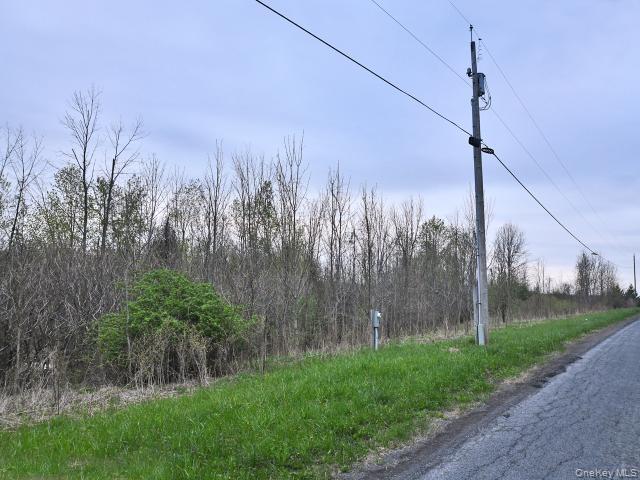 Single Family Spook Woods Rd  Out Of Area, NY 13140, MLS-000061-3