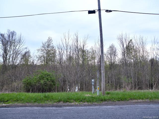Single Family Spook Woods Rd  Out Of Area, NY 13140, MLS-000061-4