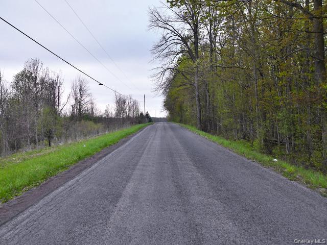 Single Family Spook Woods Rd  Out Of Area, NY 13140, MLS-000061-5