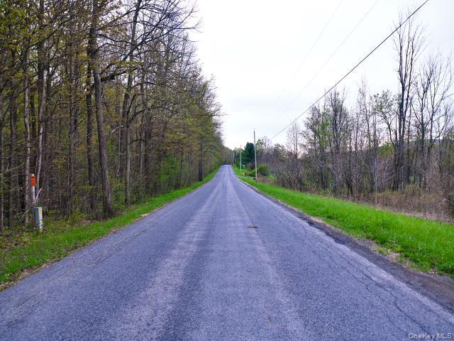 Single Family Spook Woods Rd  Out Of Area, NY 13140, MLS-000061-6