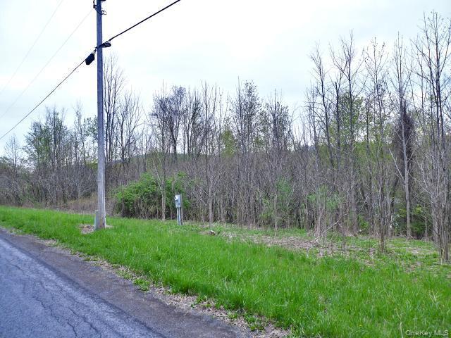 Single Family Spook Woods Rd  Out Of Area, NY 13140, MLS-000061-7
