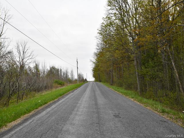 Single Family Spook Woods Rd  Out Of Area, NY 13140, MLS-000061-9