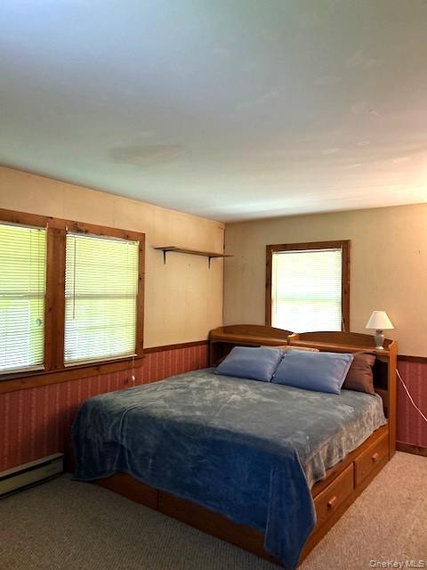 Single Family State Route 52 Sullivan County, NY 12787, MLS-000139-10