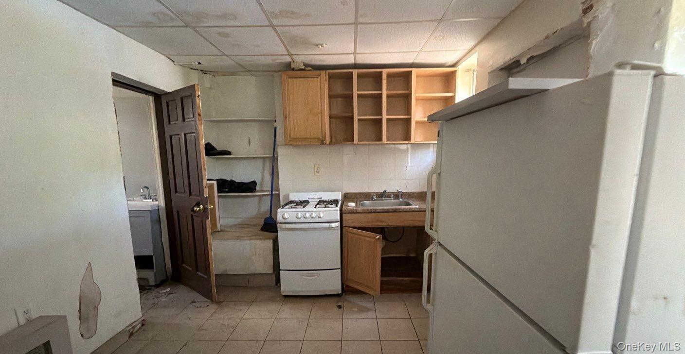 Single Family Jackie Robinson Brooklyn, NY 11207, MLS-000164-10