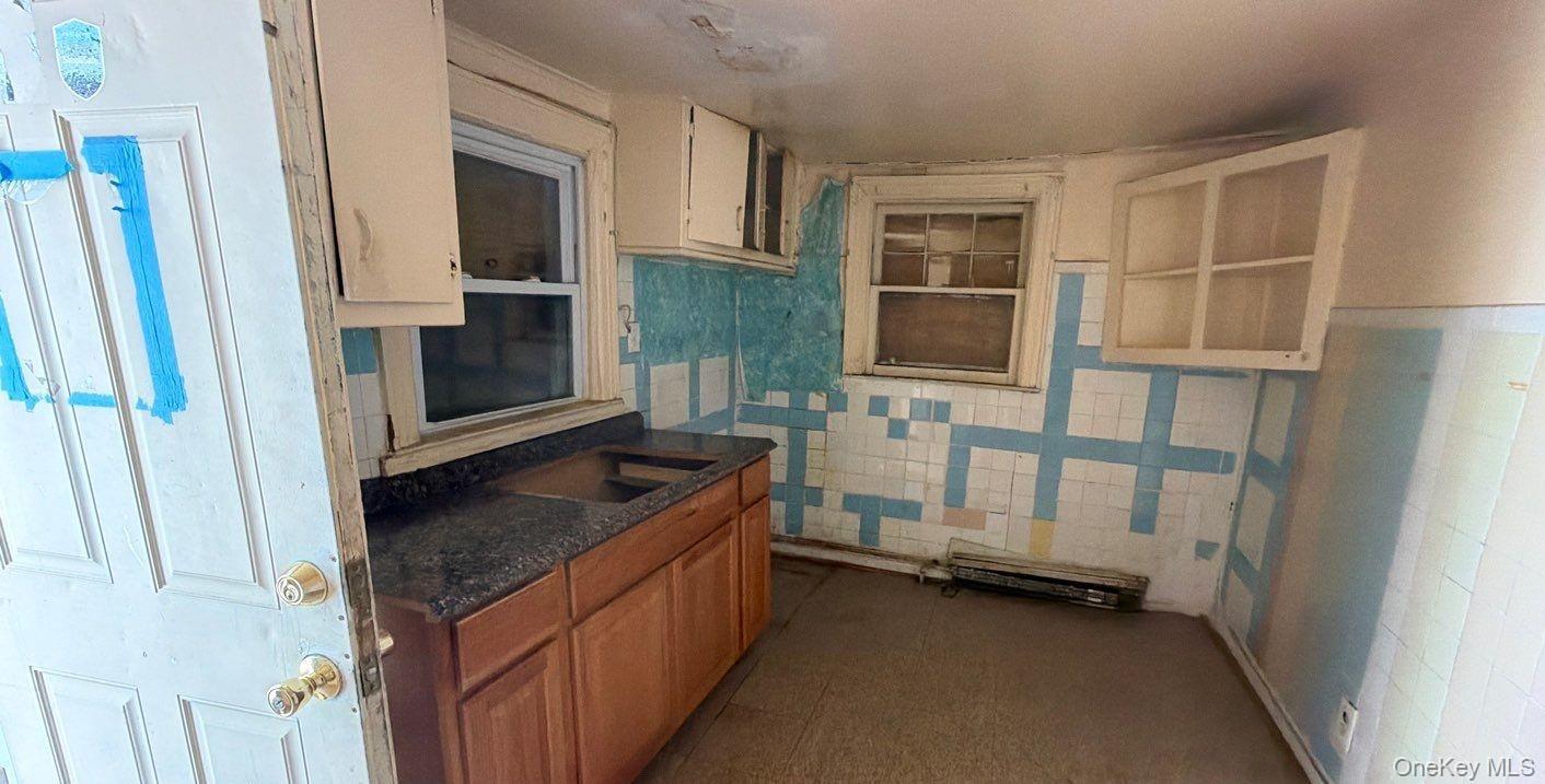 Single Family Jackie Robinson Brooklyn, NY 11207, MLS-000164-2