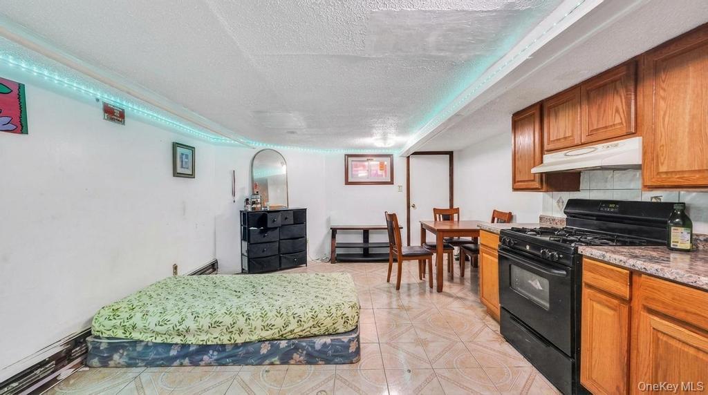 Single Family 84th  Brooklyn, NY 11236, MLS-1000270-28
