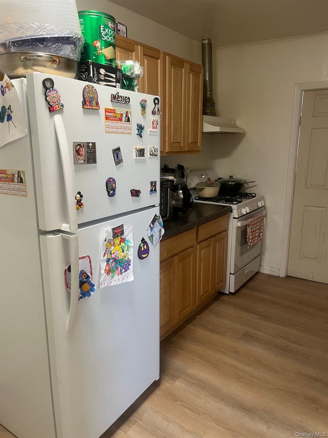 Single Family Saint Peters Bronx, NY 10461, MLS-1000291-8