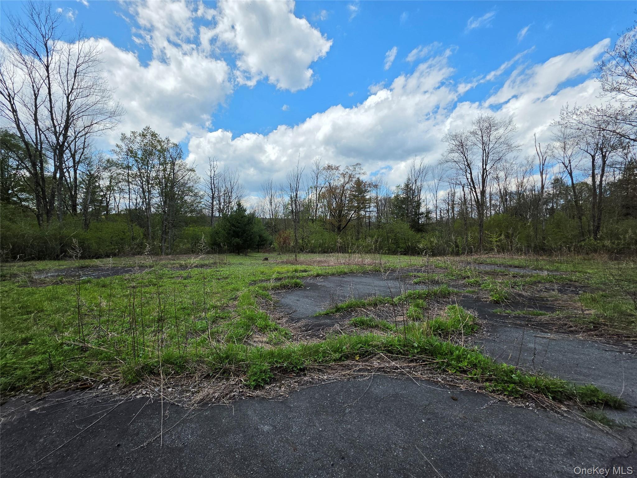 Single Family State Route 17b Sullivan County, NY 12701, MLS-1000304-16