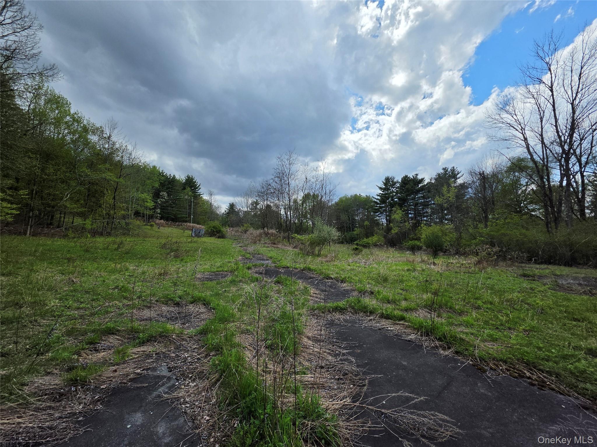 Single Family State Route 17b Sullivan County, NY 12701, MLS-1000304-18