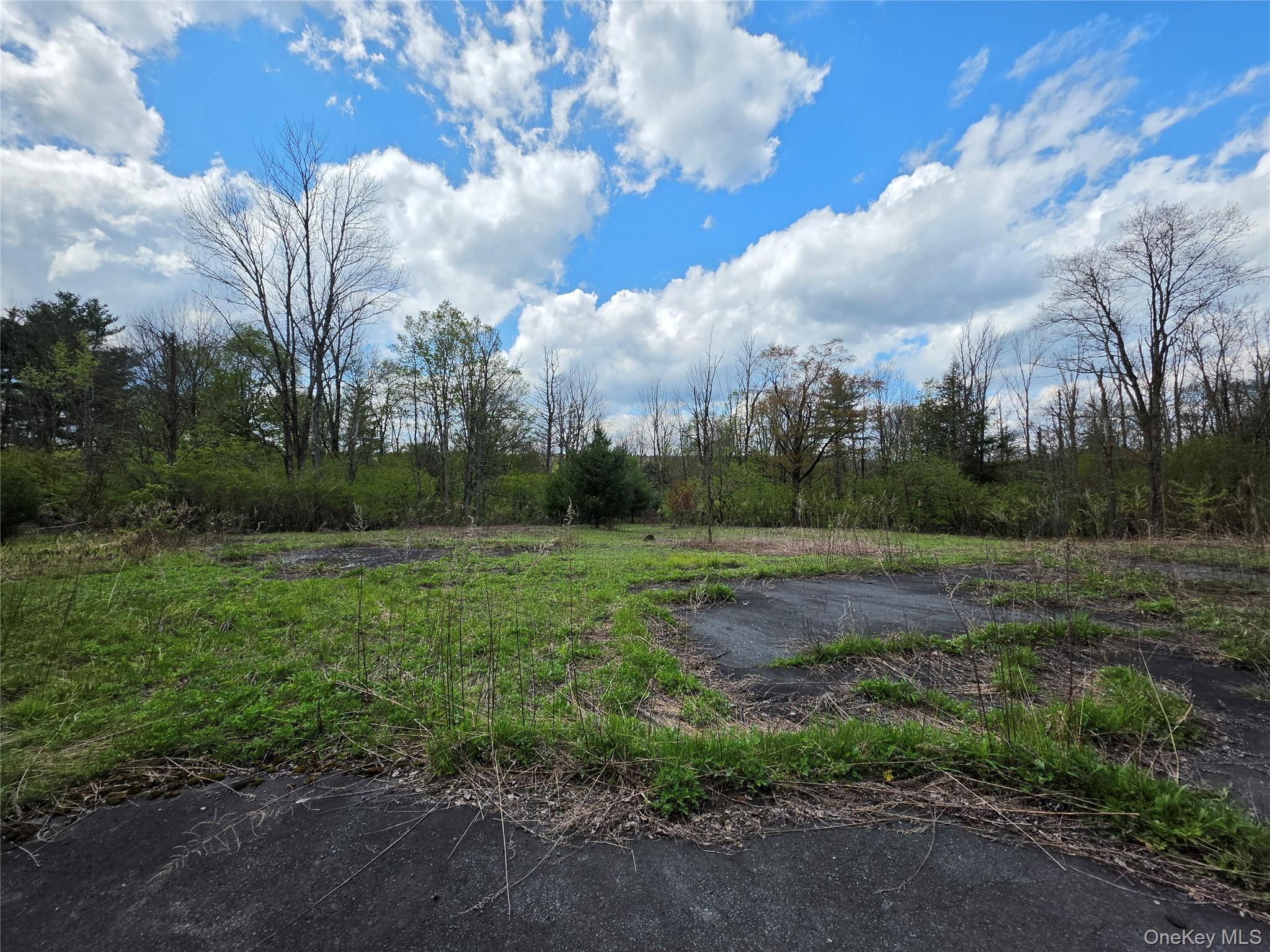 Single Family State Route 17b Sullivan County, NY 12701, MLS-1000304-19