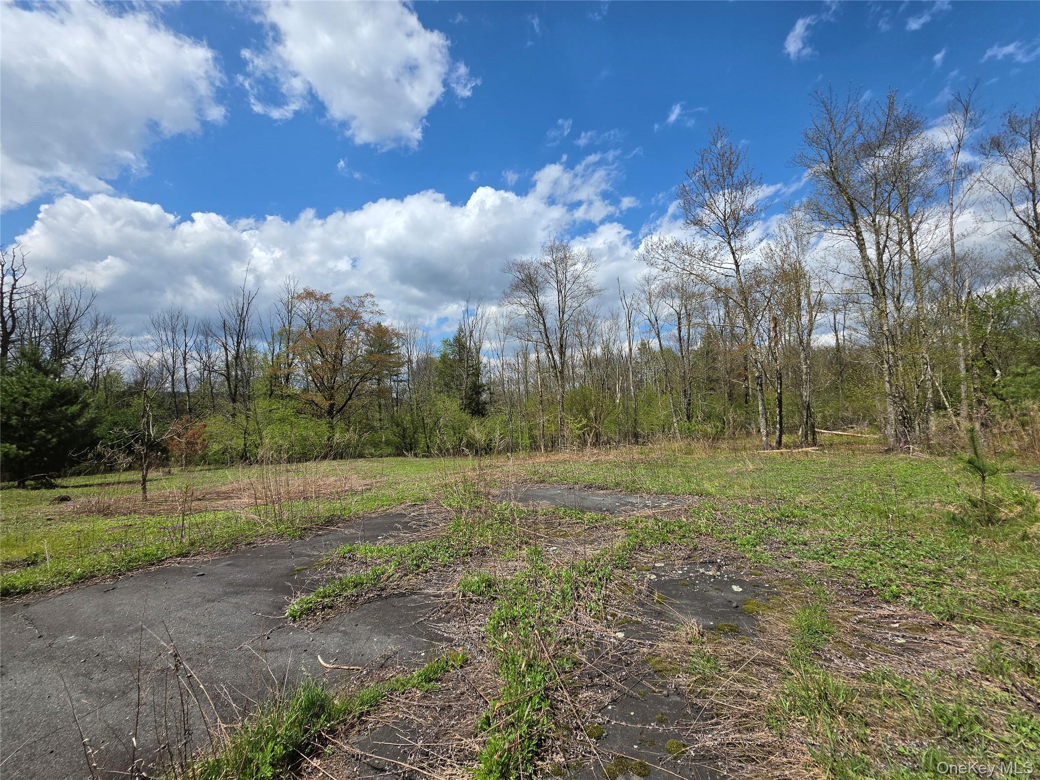 Single Family State Route 17b Sullivan County, NY 12701, MLS-1000304-20