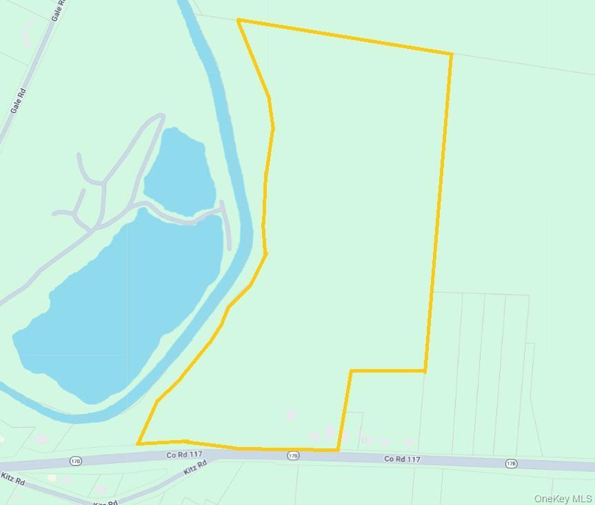 Single Family State Route 17b  Sullivan County, NY 12701, MLS-1000304-24