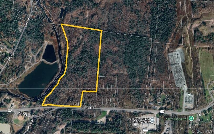 Single Family State Route 17b Sullivan County, NY 12701, MLS-1000304-4