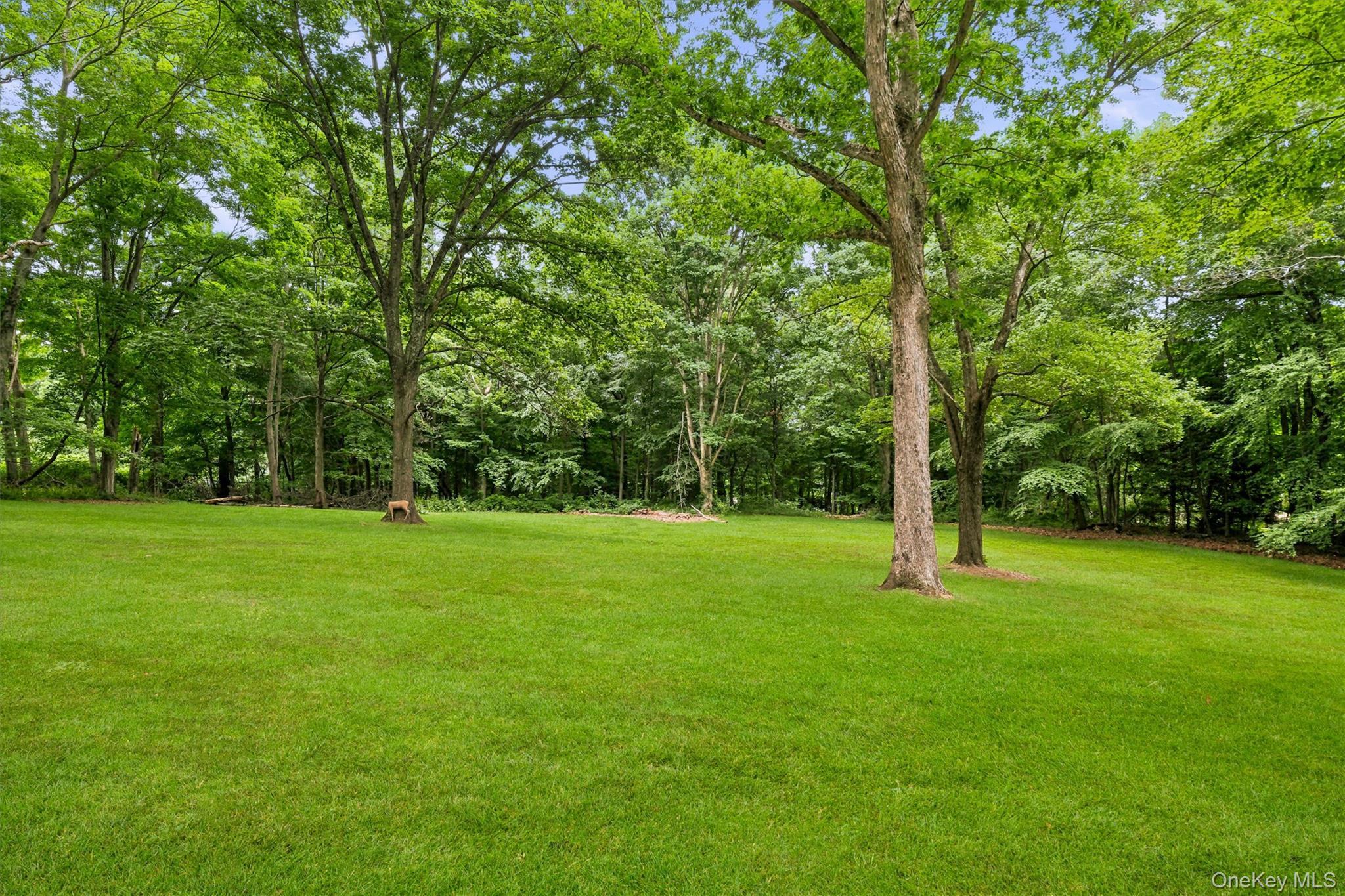 Single Family Route 118  Westchester County, NY 10598, MLS-1000328-45