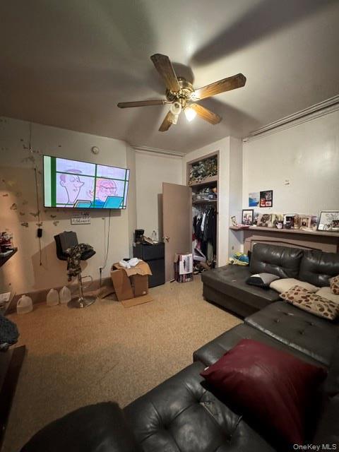 Single Family Ann Street Orange County, NY 12550, MLS-1000367-14