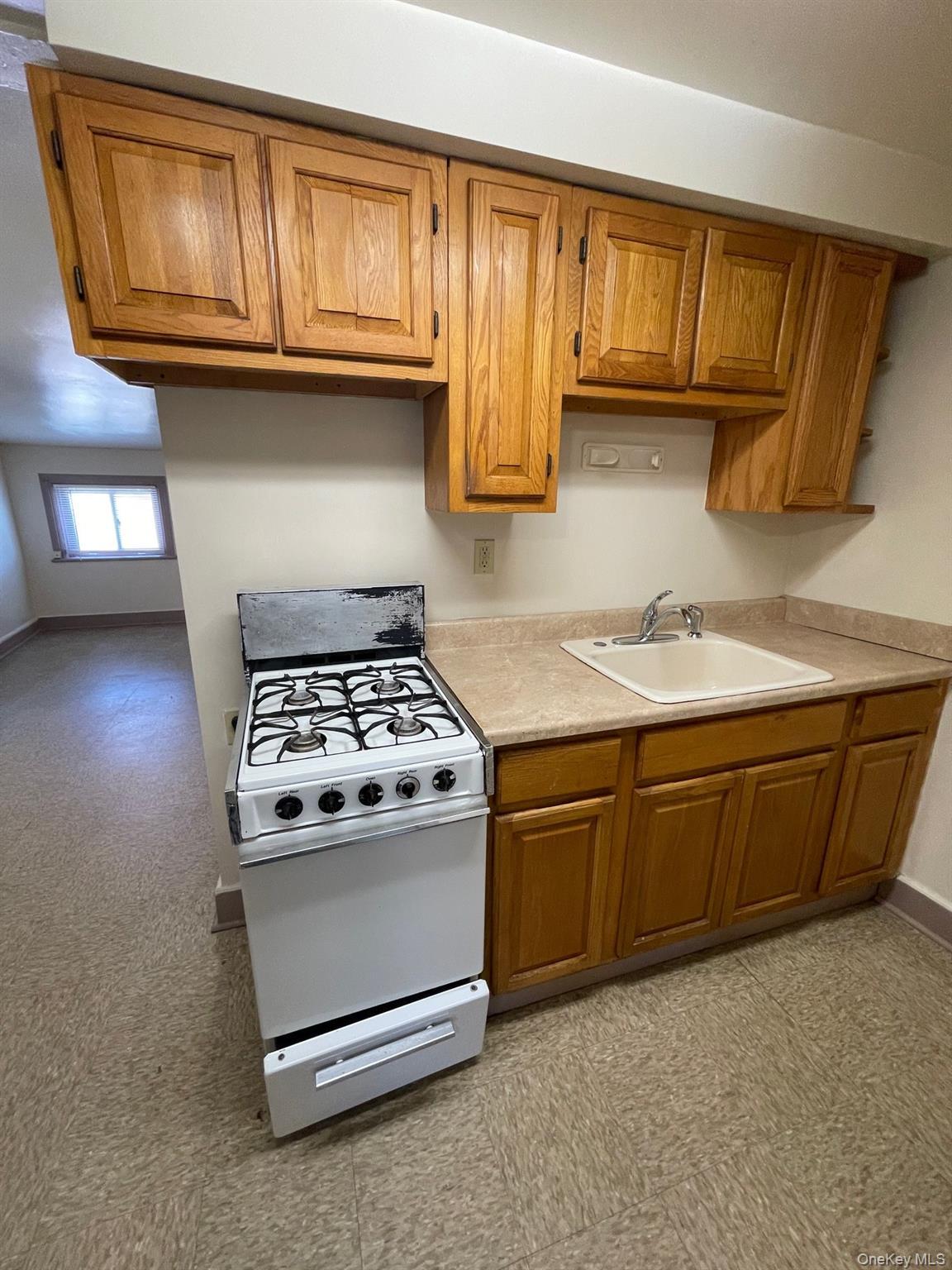Single Family Ann Street Orange County, NY 12550, MLS-1000367-9