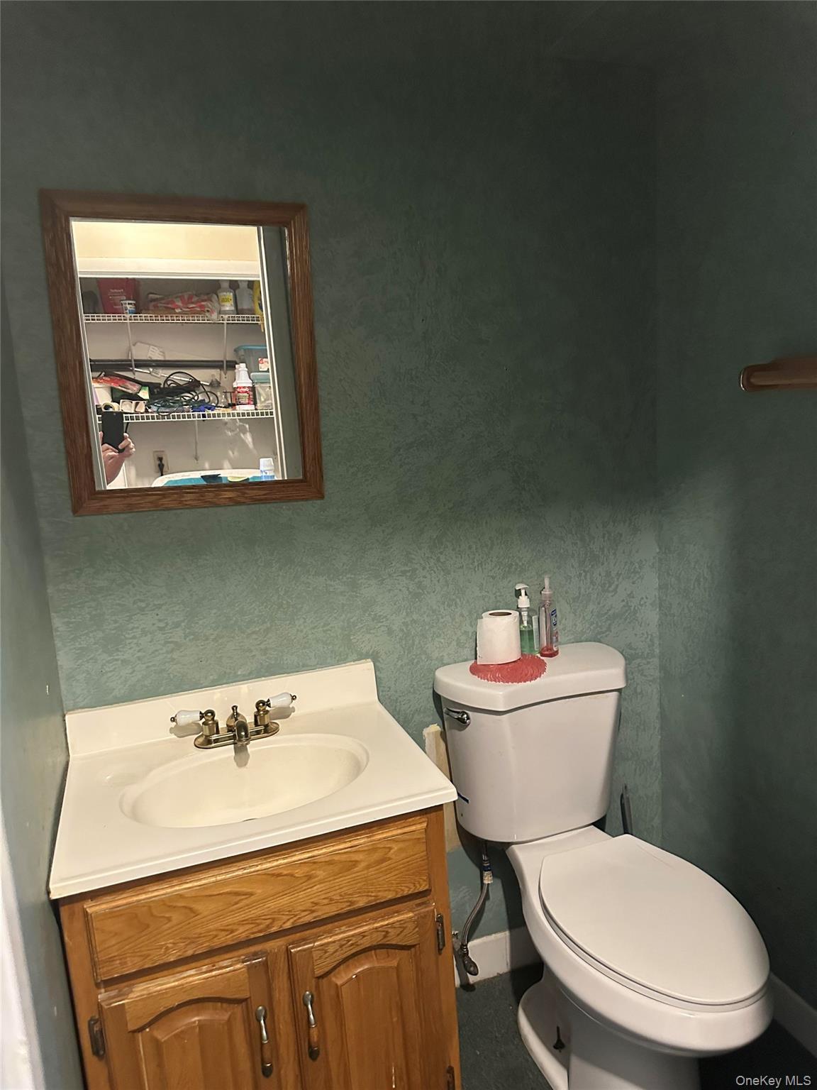 Single Family Watts Lane Orange County, NY 12543, MLS-1000470-4