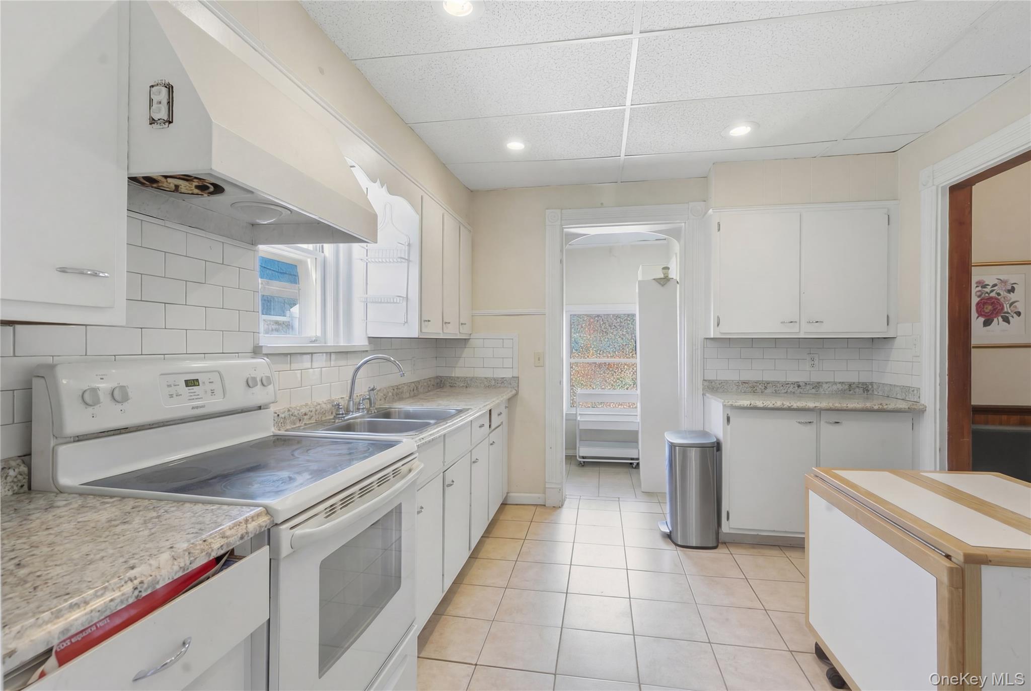 Single Family N Chestnut Street  Ulster County, NY 12561, MLS-1000543-10