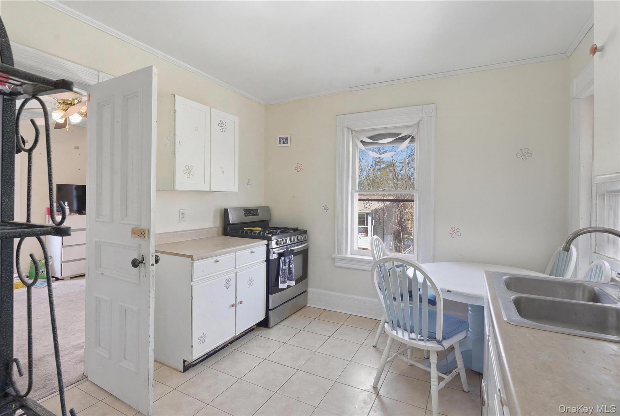 Single Family N Chestnut Street  Ulster County, NY 12561, MLS-1000543-17