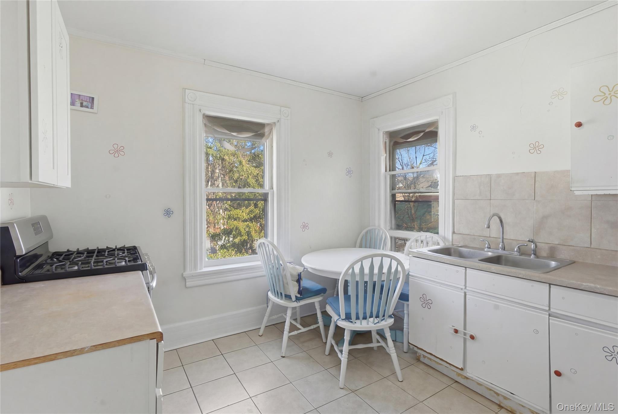 Single Family N Chestnut Street  Ulster County, NY 12561, MLS-1000543-18