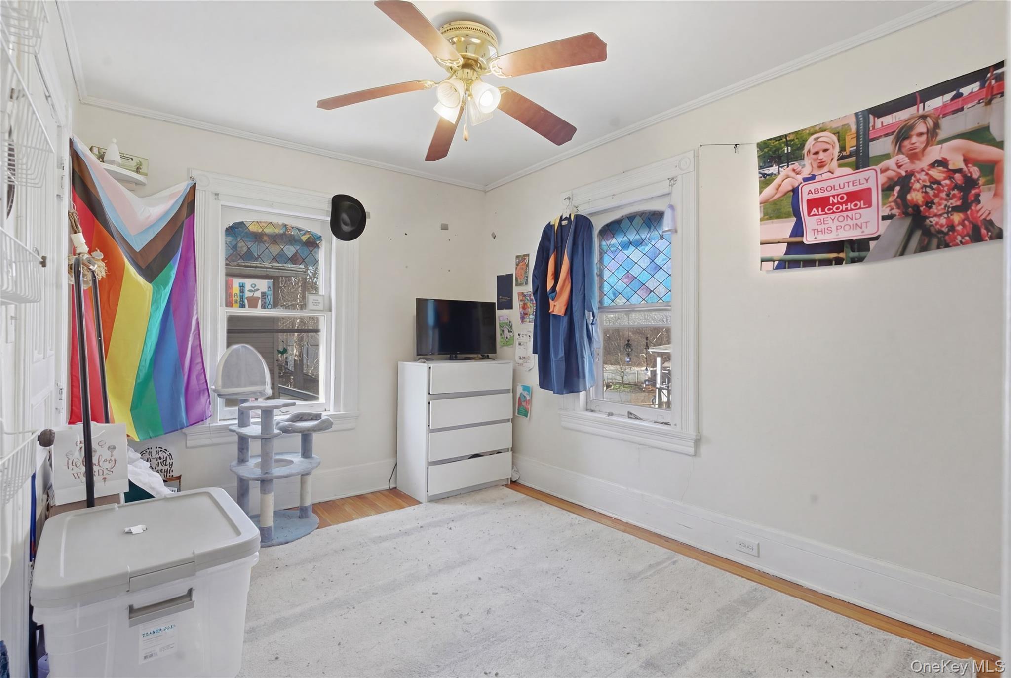 Single Family N Chestnut Street  Ulster County, NY 12561, MLS-1000543-19