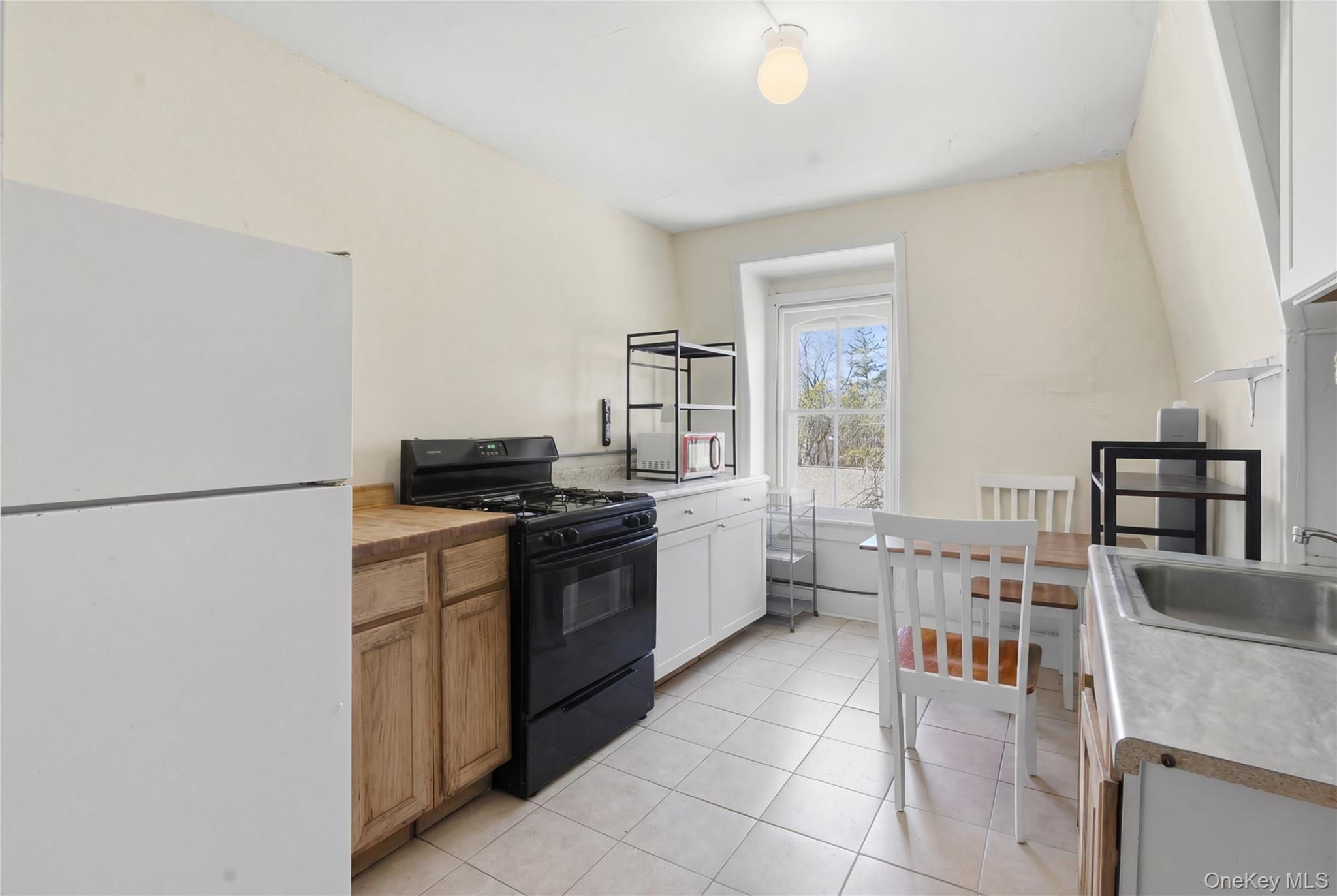 Single Family N Chestnut Street  Ulster County, NY 12561, MLS-1000543-27