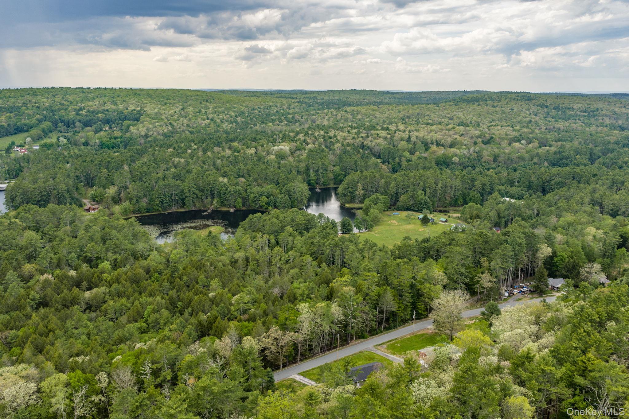 Single Family Airport  Sullivan County, NY 12528, MLS-1000565-20