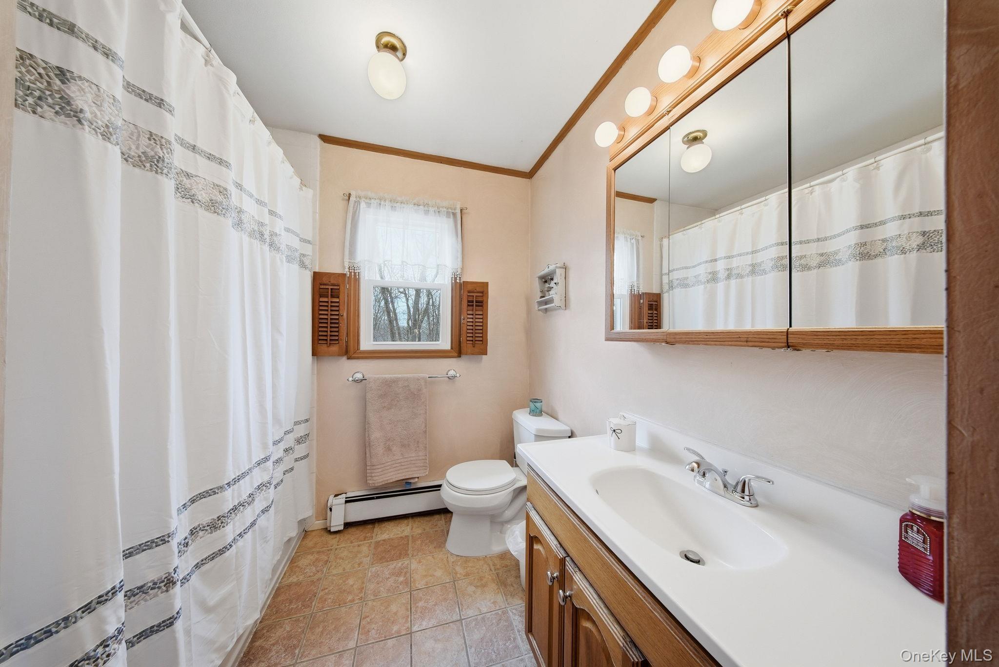 Single Family Puritan Lane Orange County, NY 10992, MLS-1000573-22