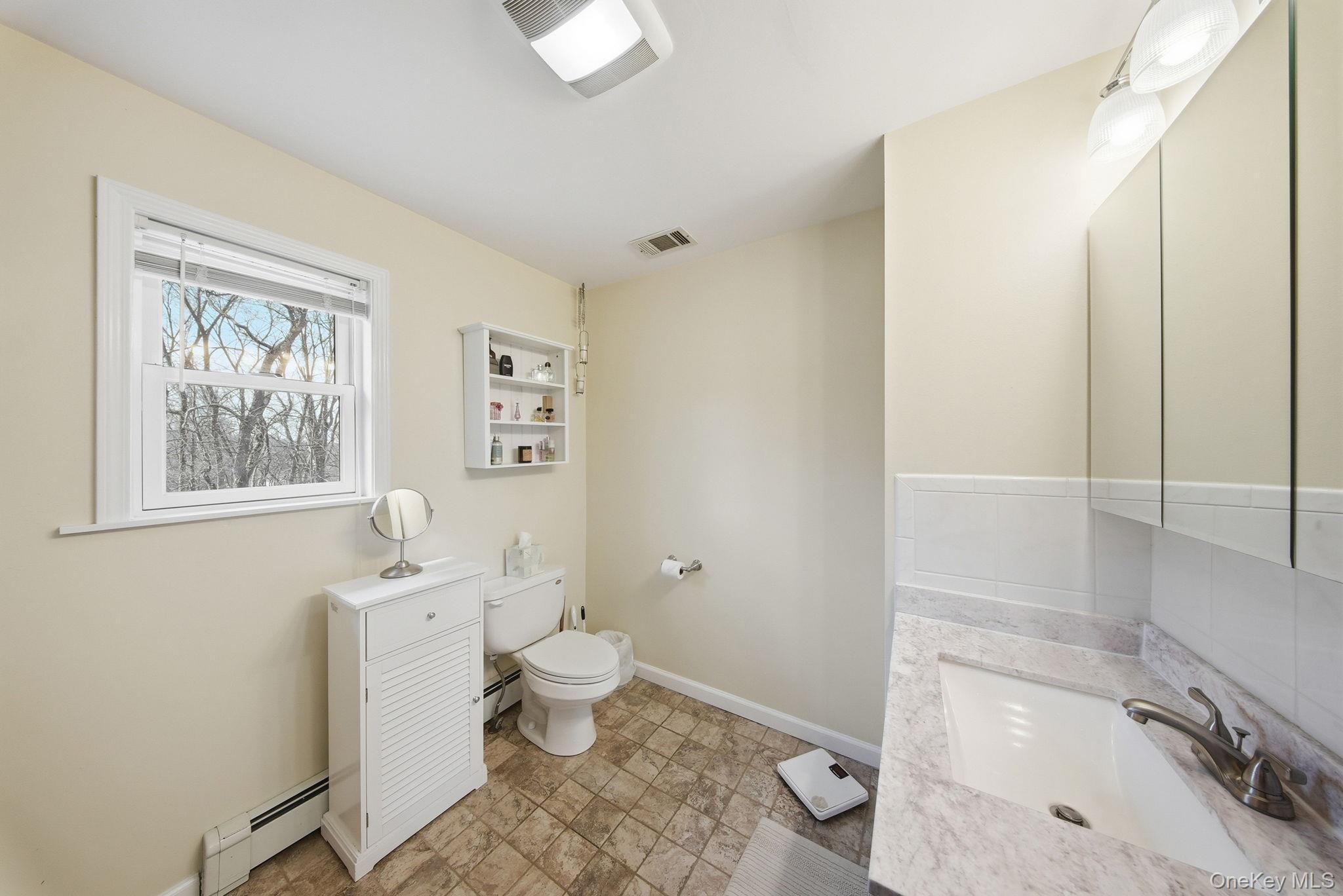 Single Family Puritan Lane Orange County, NY 10992, MLS-1000573-28
