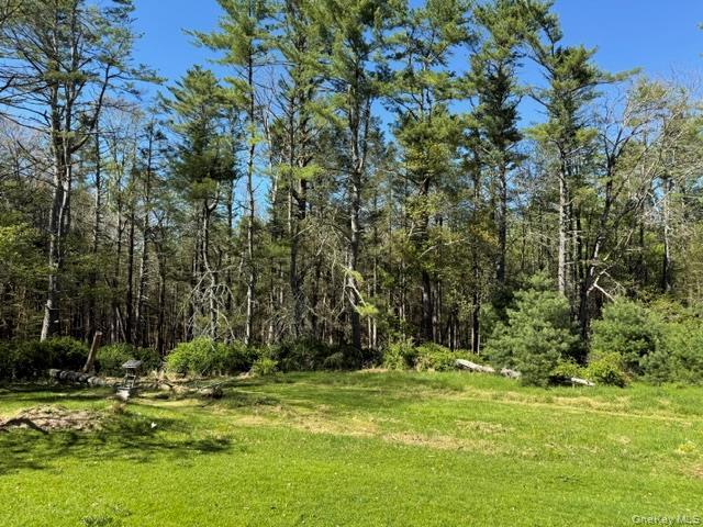 Single Family Bee Hollow Road  Out Of Area, NY 18458, MLS-1000585-18
