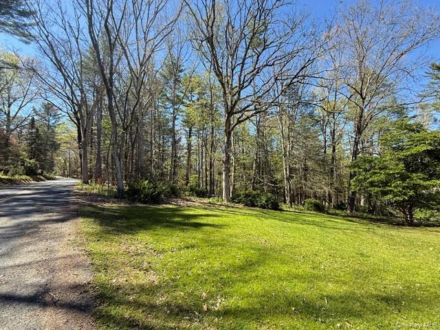 Single Family Bee Hollow Road  Out Of Area, NY 18458, MLS-1000585-2