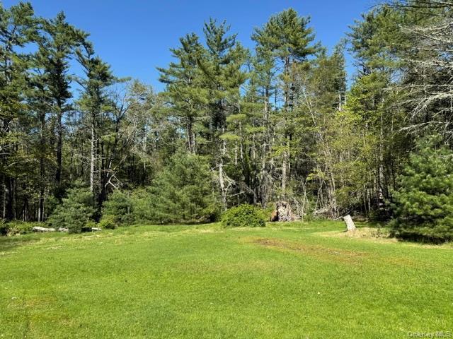 Single Family Bee Hollow Road  Out Of Area, NY 18458, MLS-1000585-20