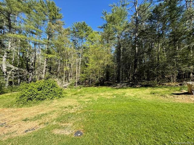 Single Family Bee Hollow Road  Out Of Area, NY 18458, MLS-1000585-23