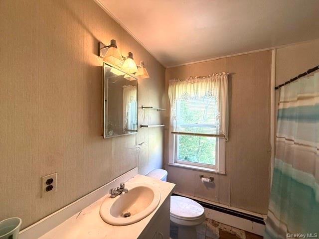 Single Family Bee Hollow Road  Out Of Area, NY 18458, MLS-1000585-8