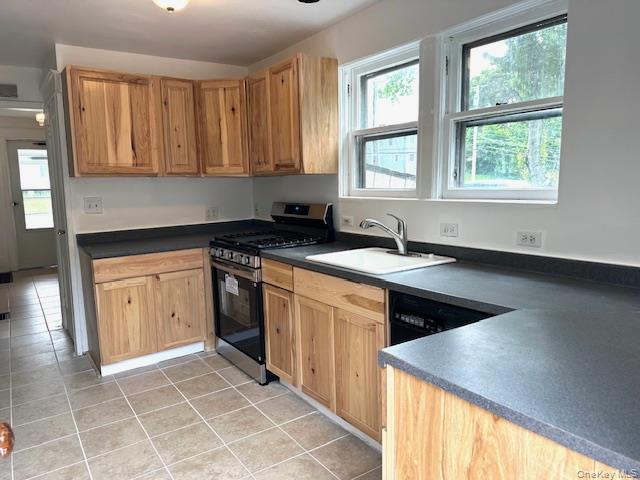 Single Family Innis Avenue  Dutchess County, NY 12601, MLS-1000609-17