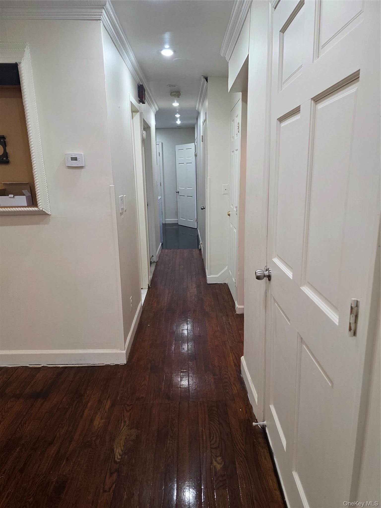 Apartment Wyona  Brooklyn, NY 11207, MLS-1000641-5