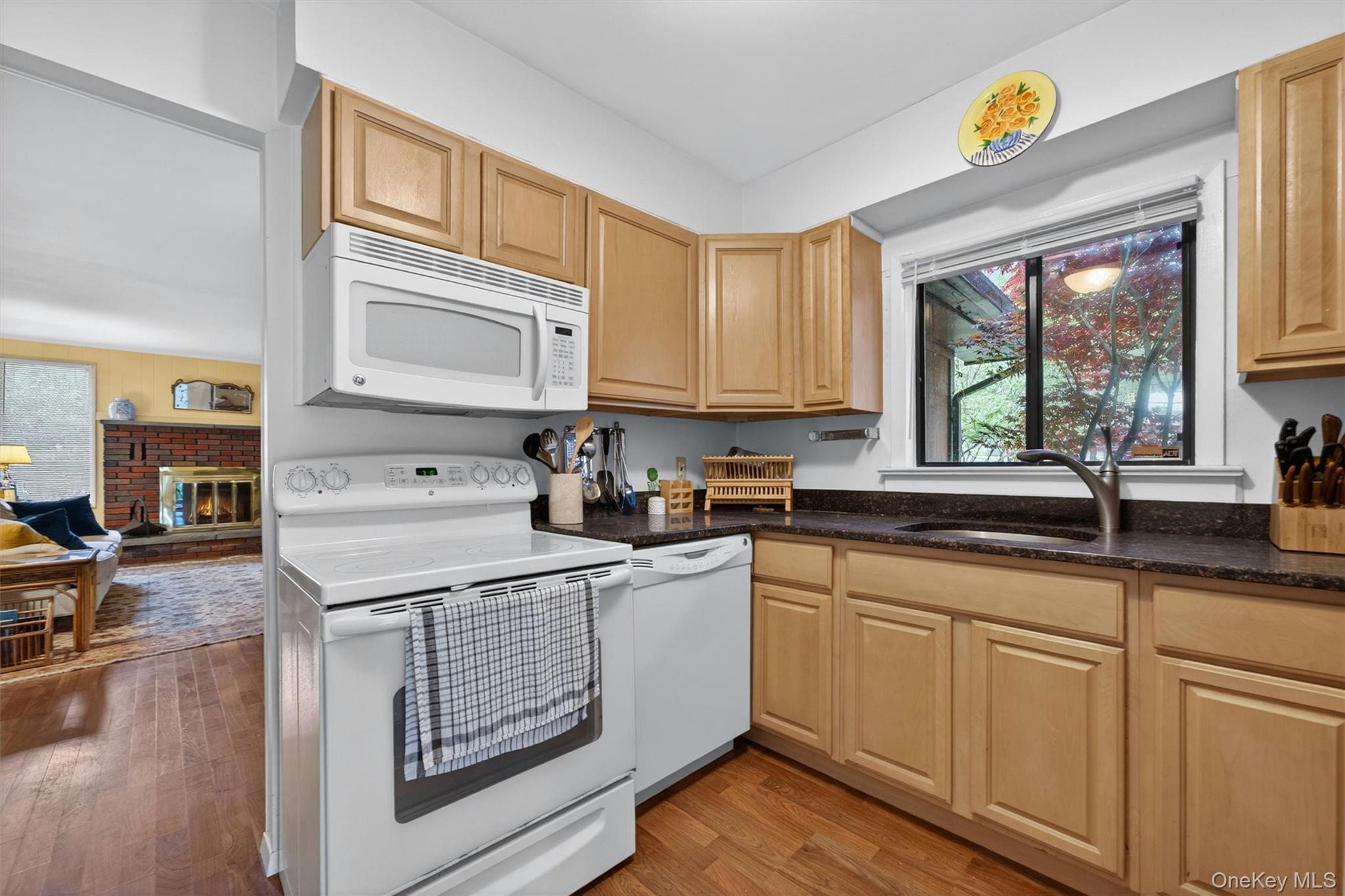 Single Family N Emerald Drive Sullivan County, NY 12775, MLS-1000673-15