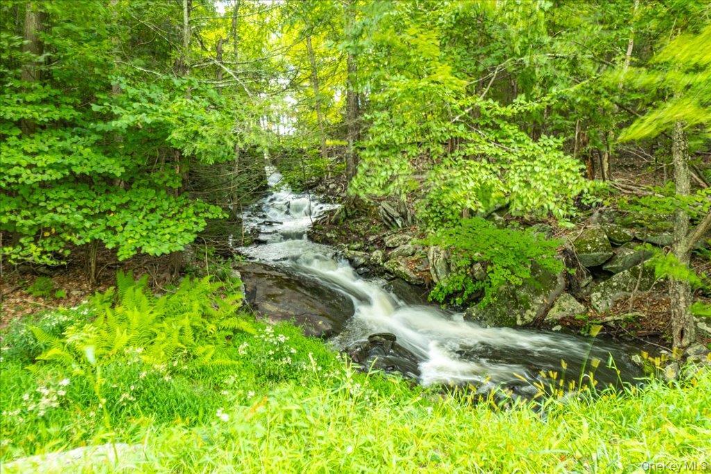 Single Family N Emerald Drive  Sullivan County, NY 12775, MLS-1000673-43
