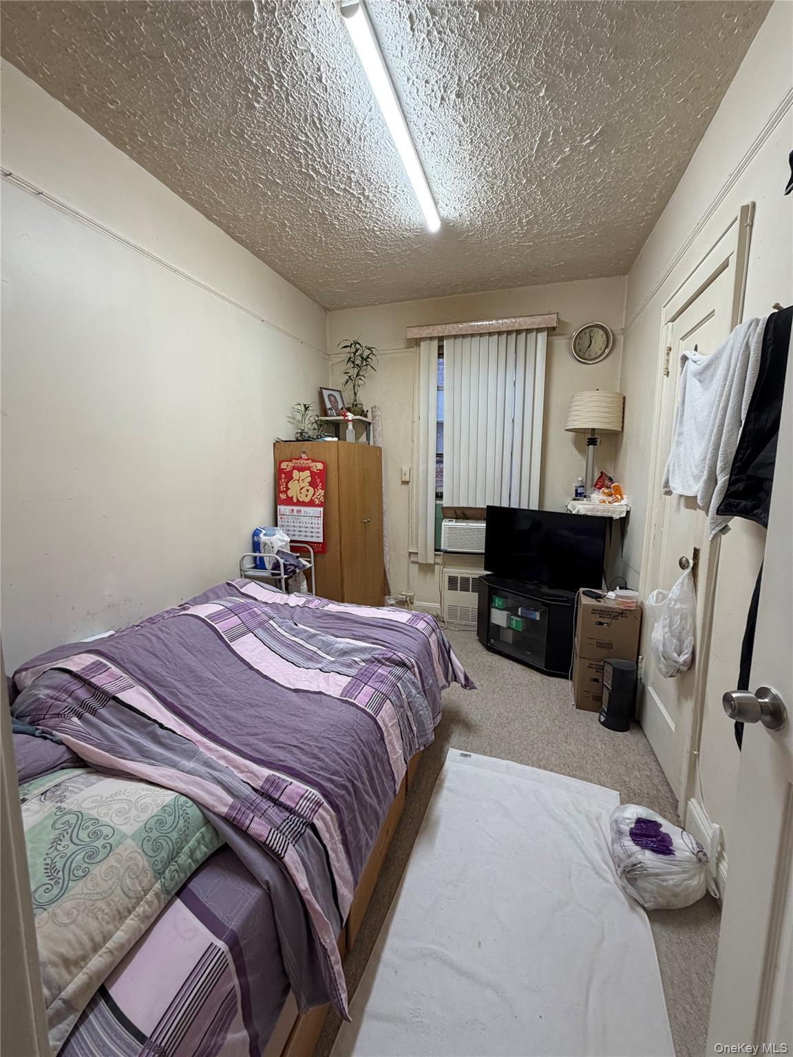 Single Family 84th Street Queens, NY 11370, MLS-1000698-12