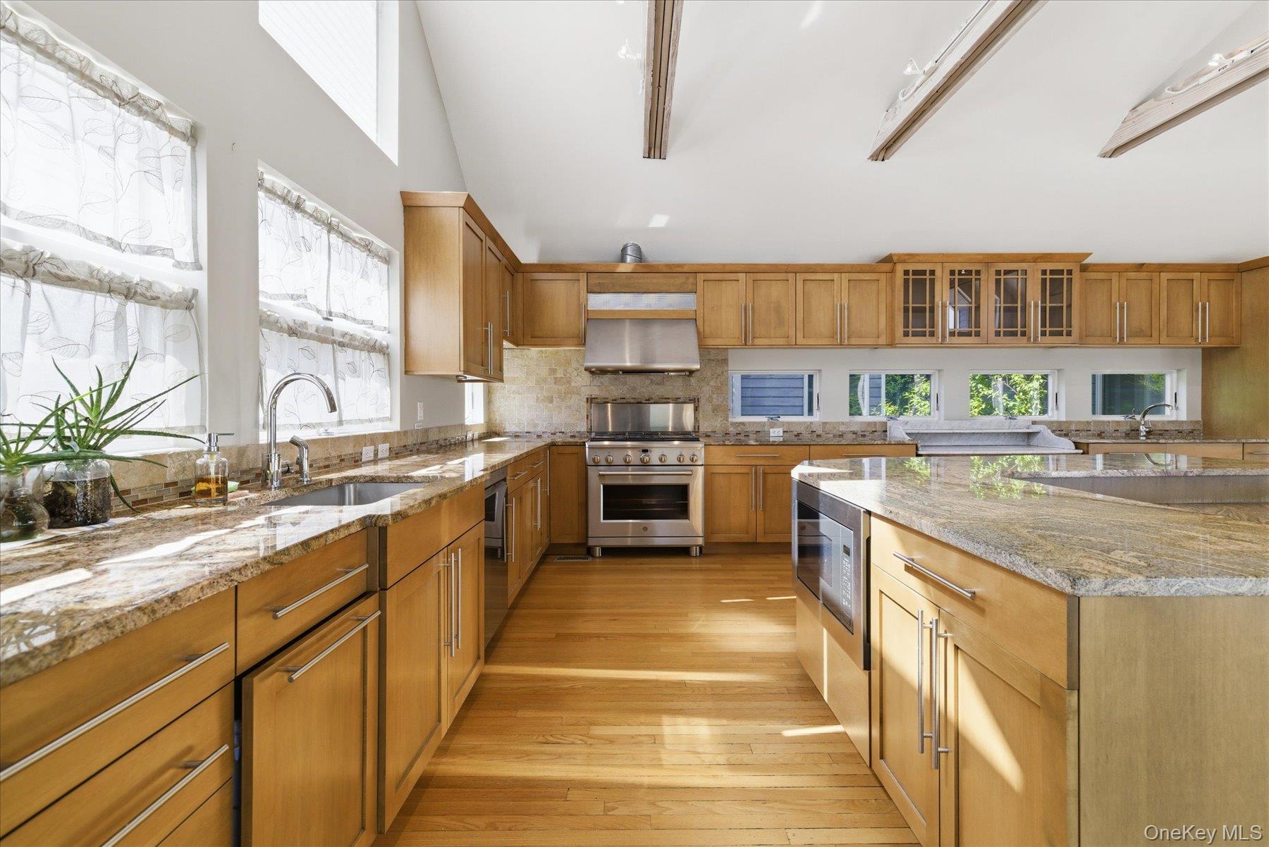 Single Family Bath Street  Nassau County, NY 11561, MLS-1000703-6