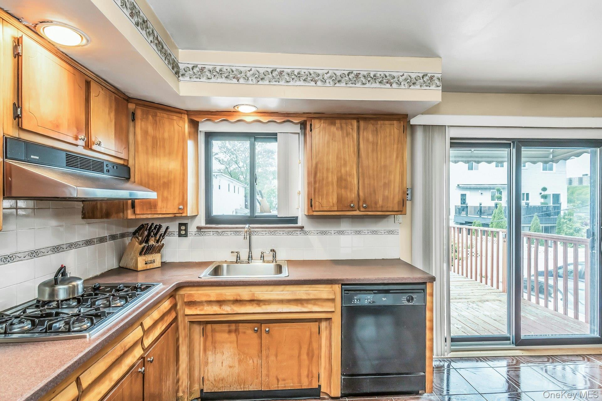 Single Family Avenue N Brooklyn, NY 11236, MLS-1000706-12