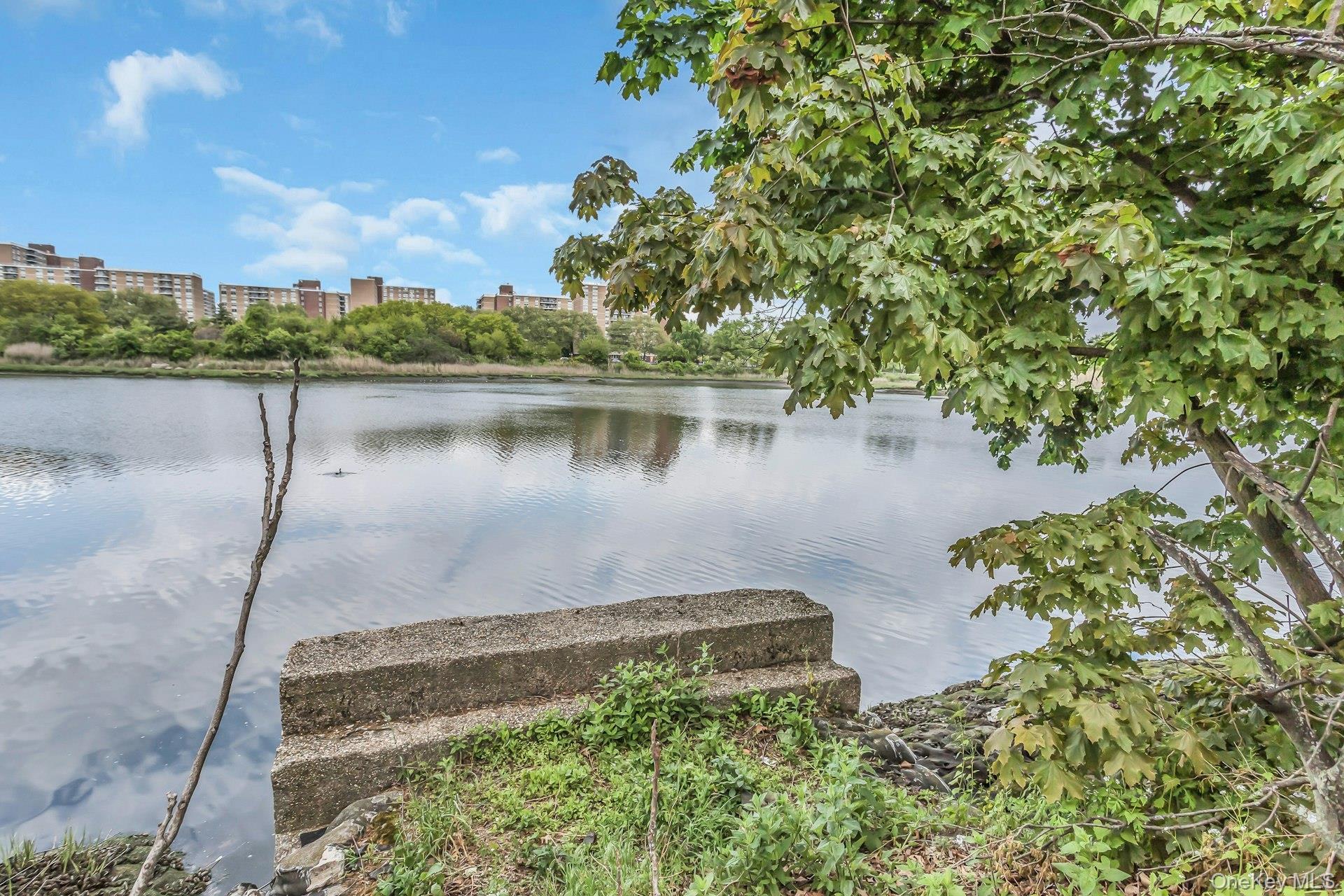 Single Family Avenue N Brooklyn, NY 11236, MLS-1000706-23