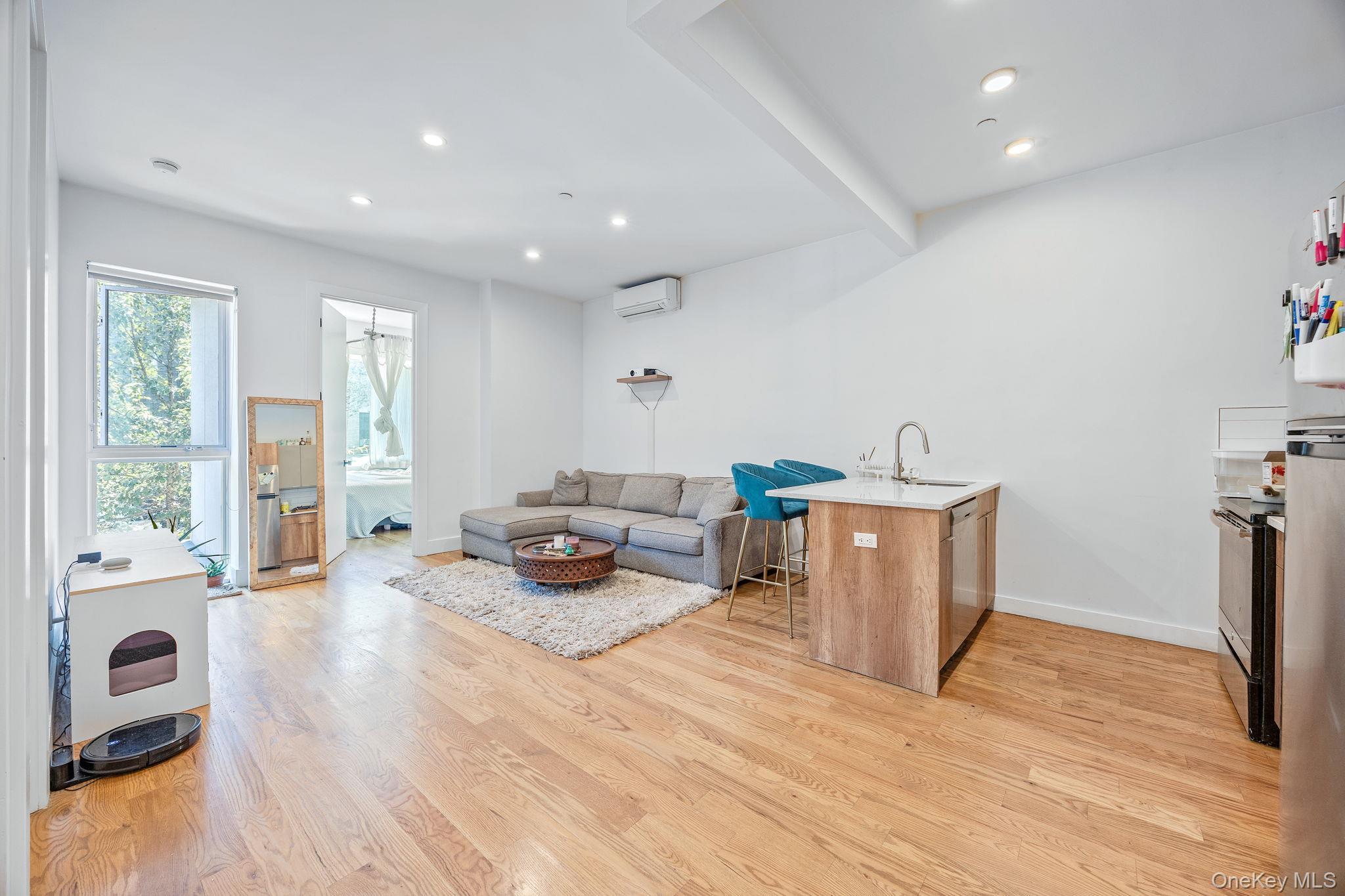Commercial Sale Sumpter  Brooklyn, NY 11233, MLS-1000770-14