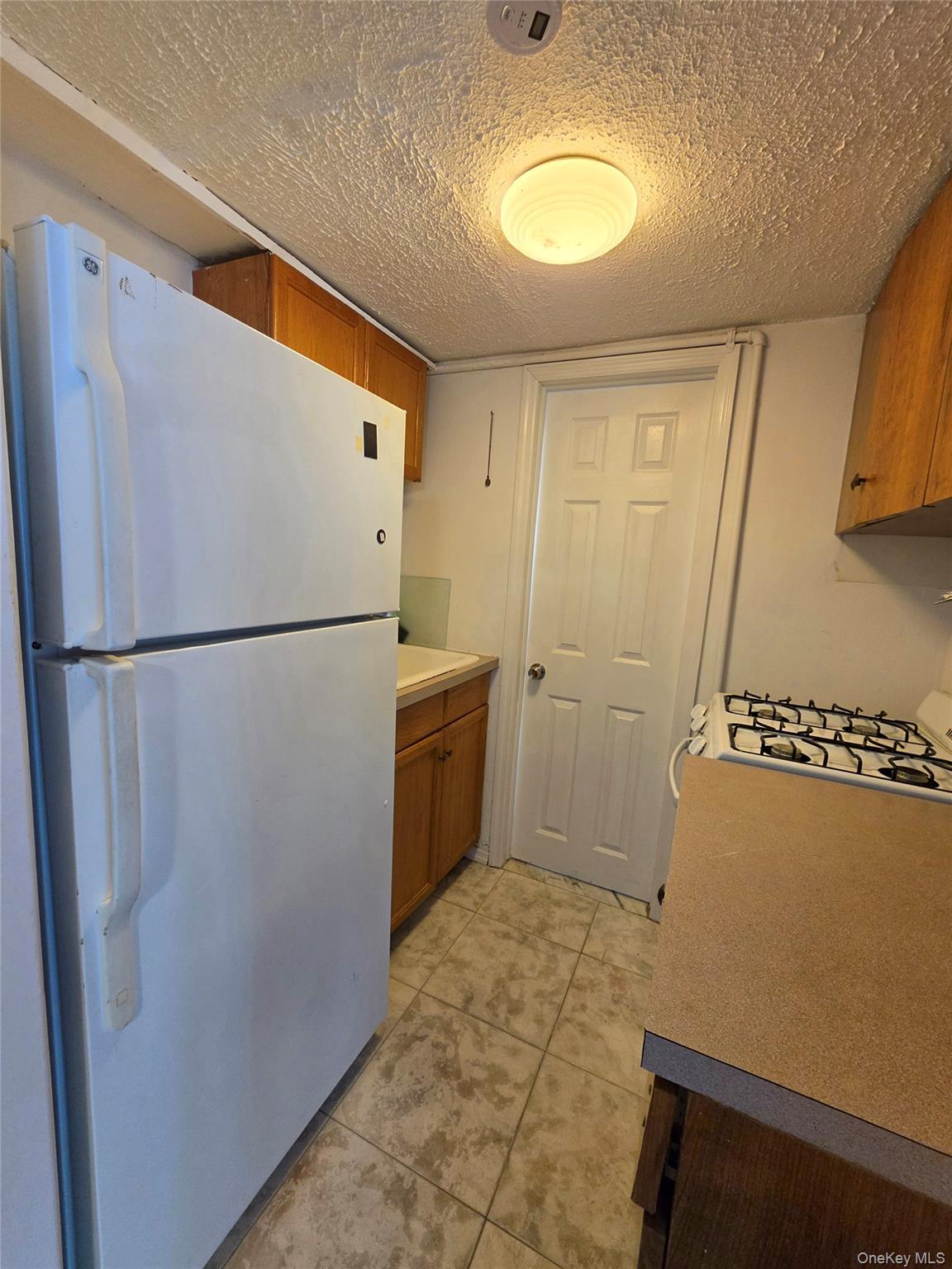 Single Family 165th Avenue  Queens, NY 11414, MLS-1000788-21