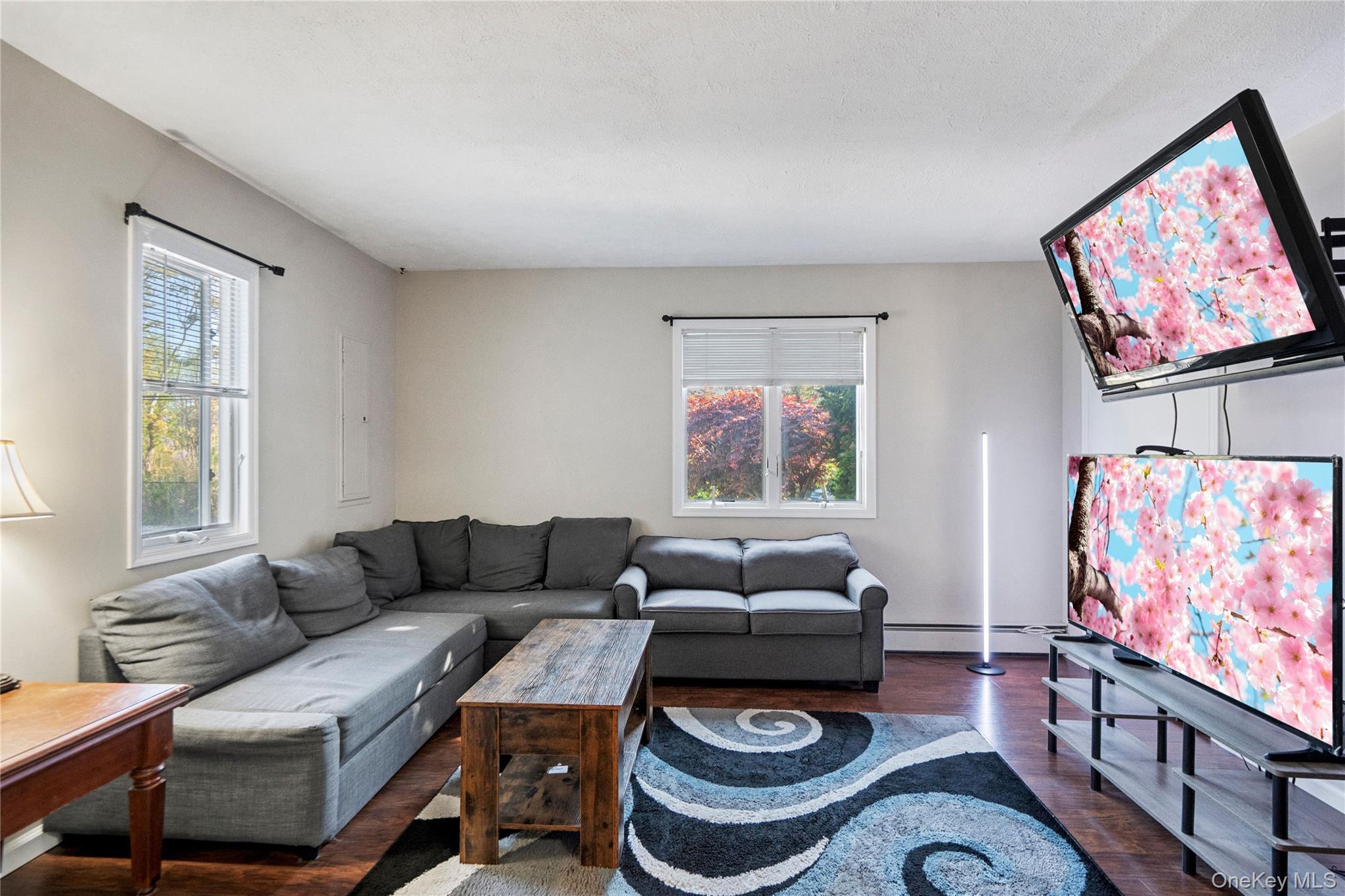 Single Family Biltmore Avenue Extension  Suffolk County, NY 11769, MLS-1000816-39