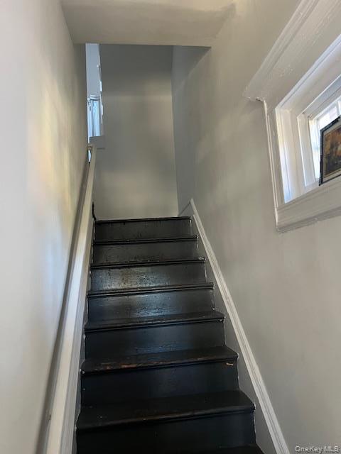 Single Family Warwick Street Brooklyn, NY 11207, MLS-1000938-14