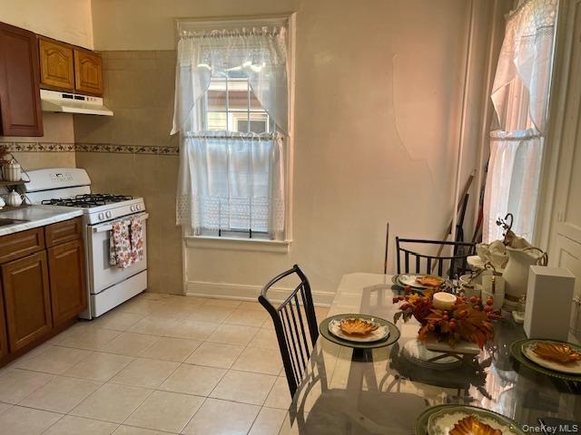 Single Family Warwick Street Brooklyn, NY 11207, MLS-1000938-4