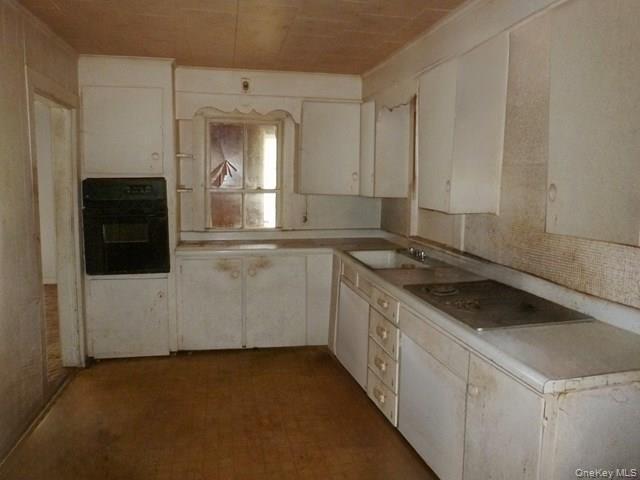 Single Family Katrina Falls  Sullivan County, NY 12775, MLS-1000947-9